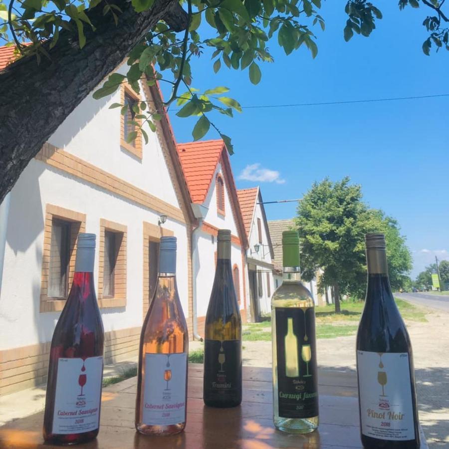 Takács Pince apartman Hajos Exterior foto